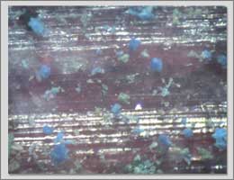 Test Schleifb�nder